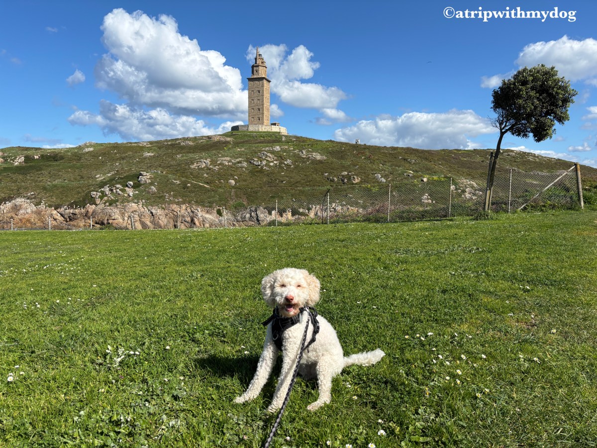 A trip with my dog to the Tower of Hercules park in A Coruña,&nbsp;Spain