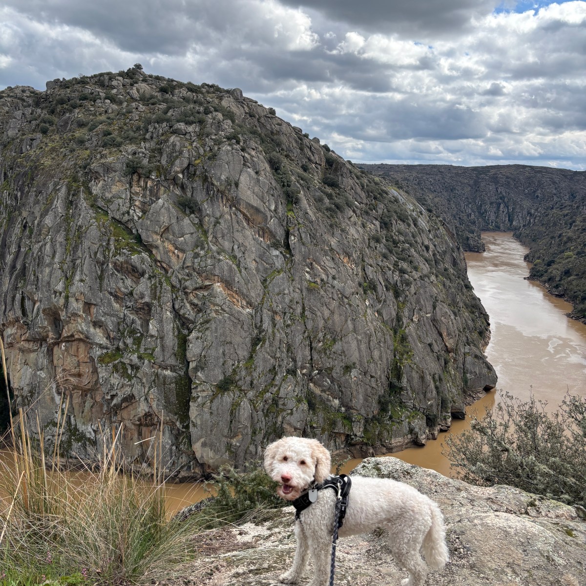 A trip with my dog Miranda do Douro and the Castrilhouço viewpoint in&nbsp;Portugal