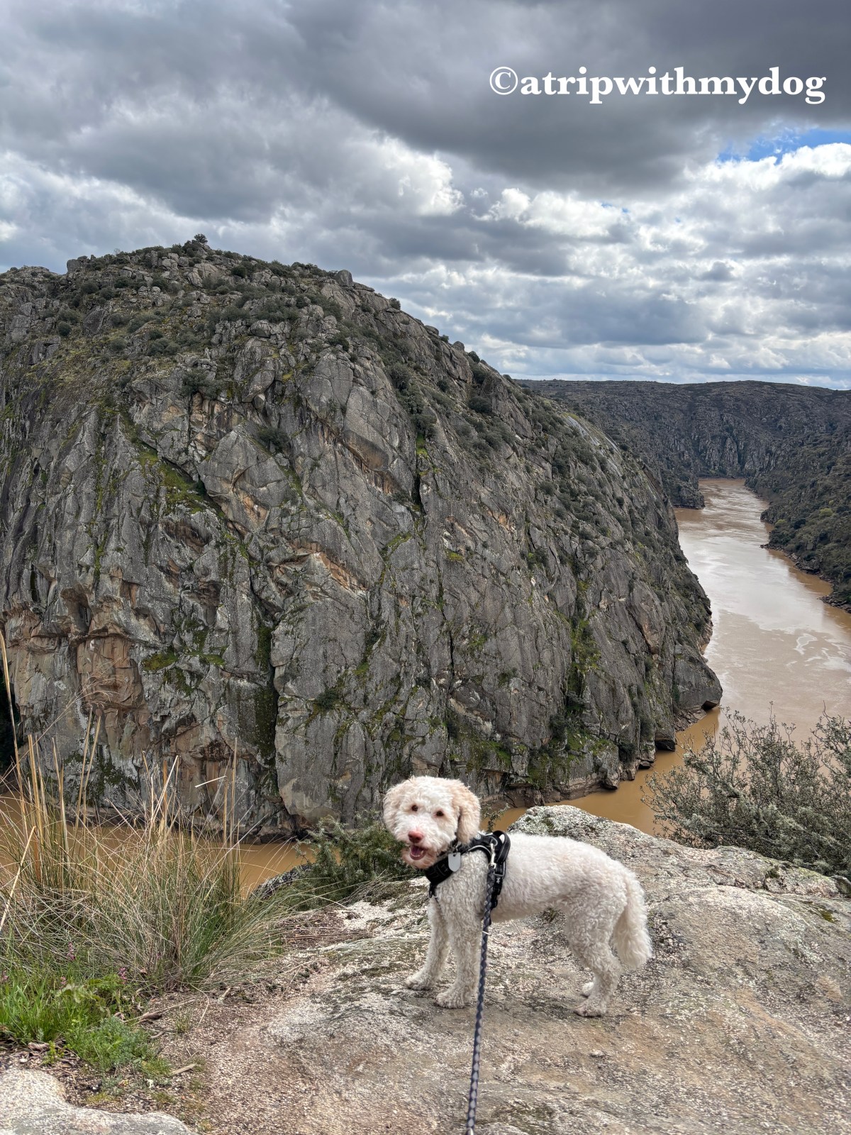 A trip with my dog Miranda do Douro and the Castrilhouço viewpoint in&nbsp;Portugal